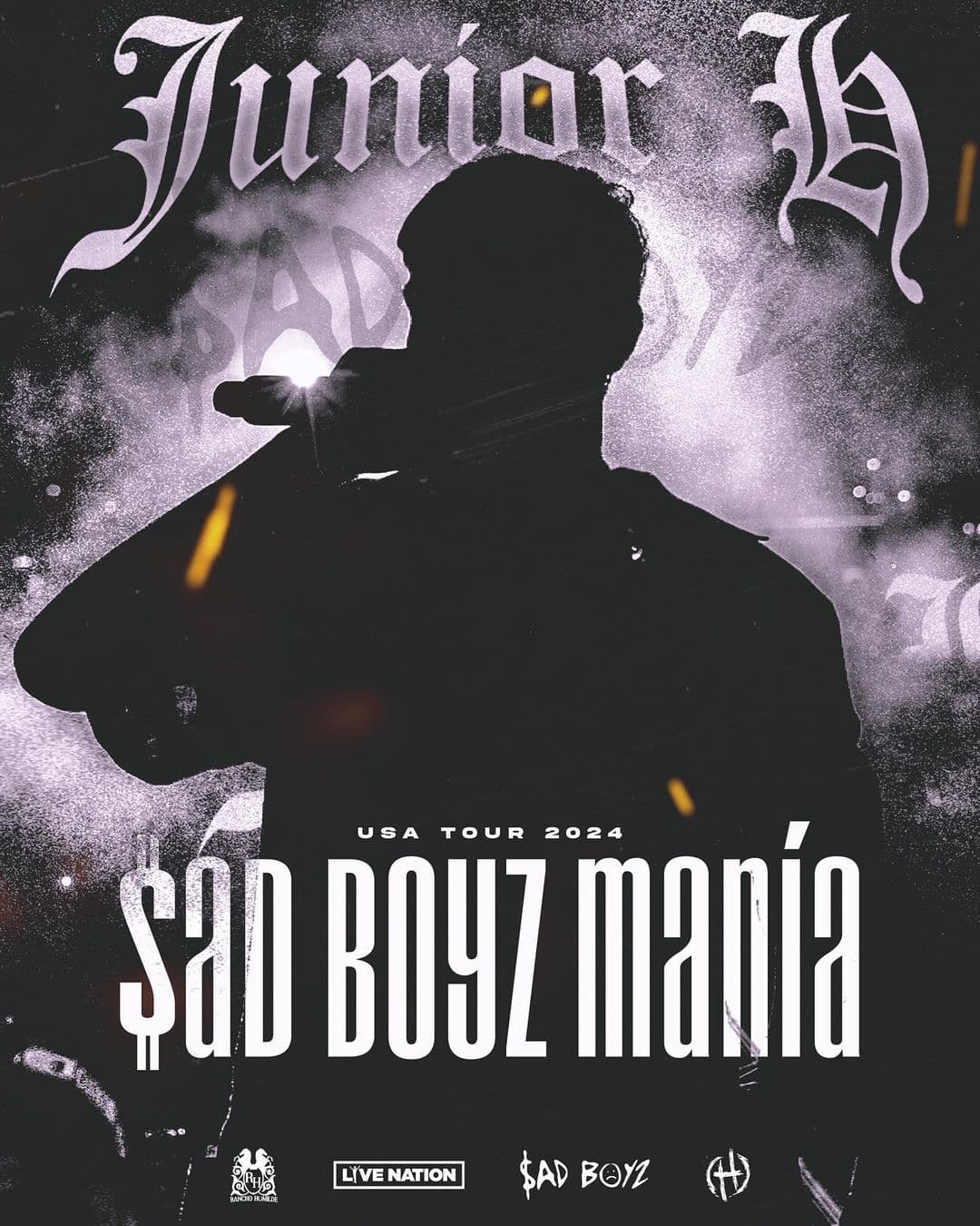 $ad Boyz Mania Tour 2024 flyer